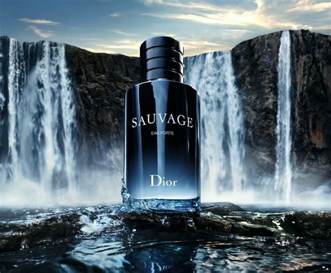 Sauvage Eau Forte von Dior » Meinungen